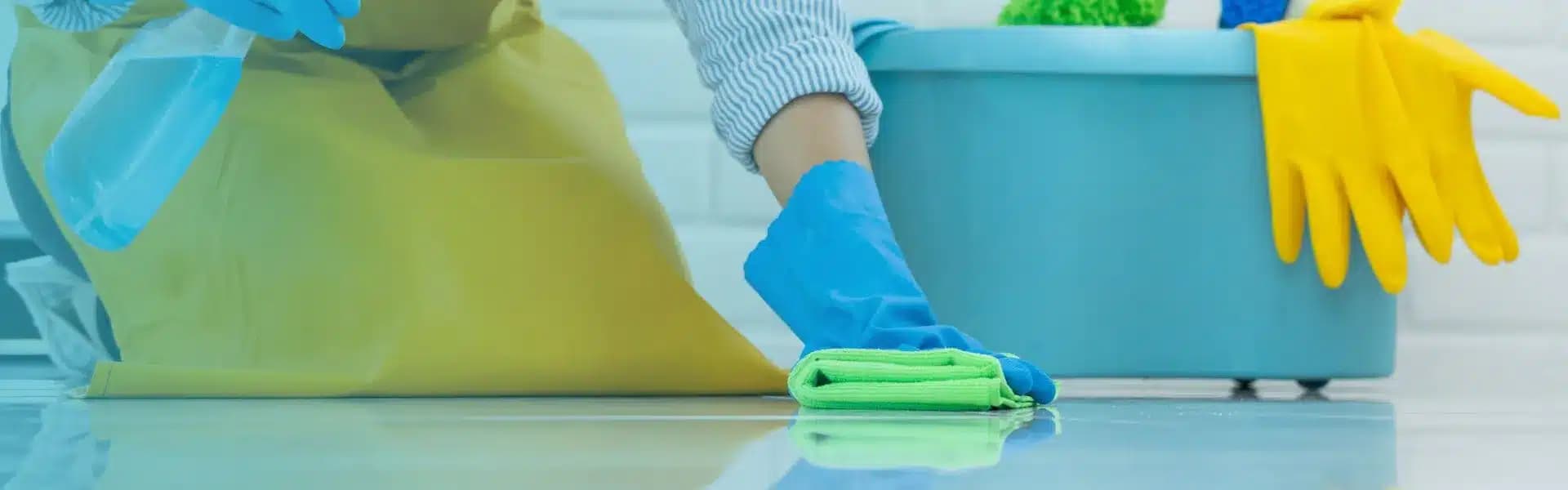 Maid Services